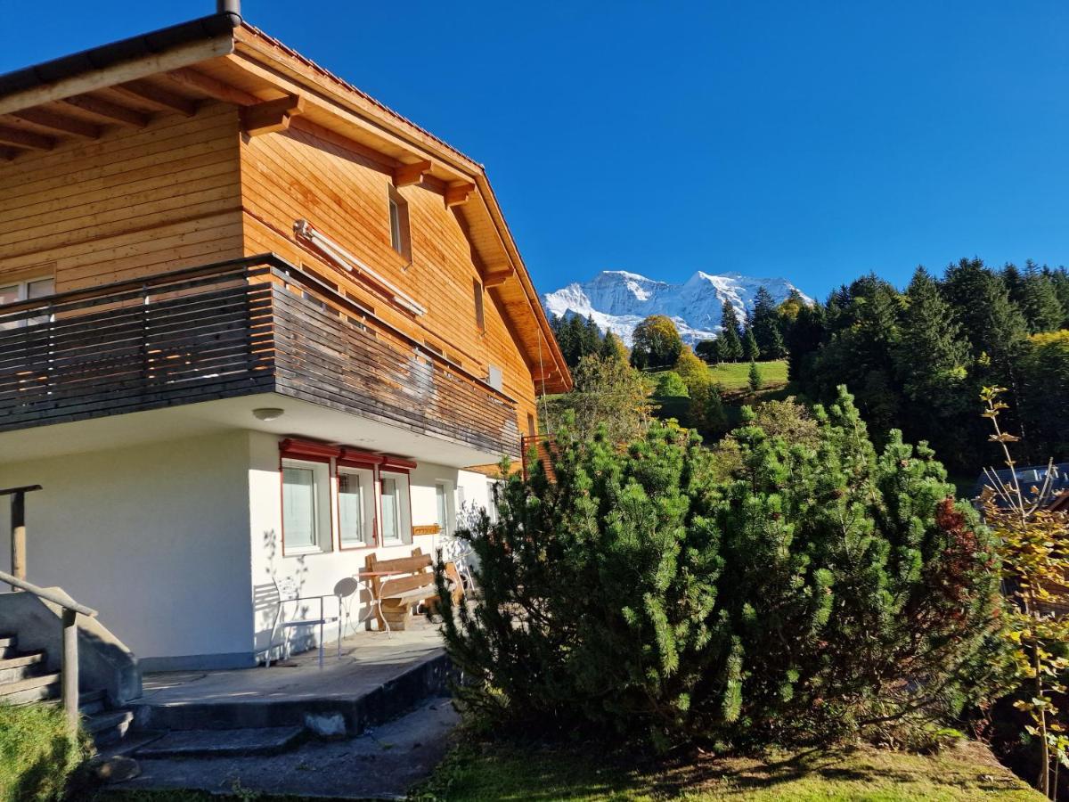 Chalet Viola - Verena'S Loft Βένγκεν Εξωτερικό φωτογραφία